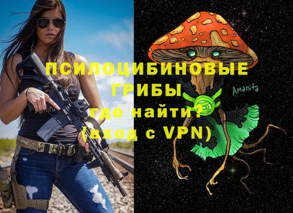 амф Горно-Алтайск